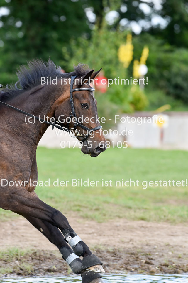 20170708-_UG01635.jpg