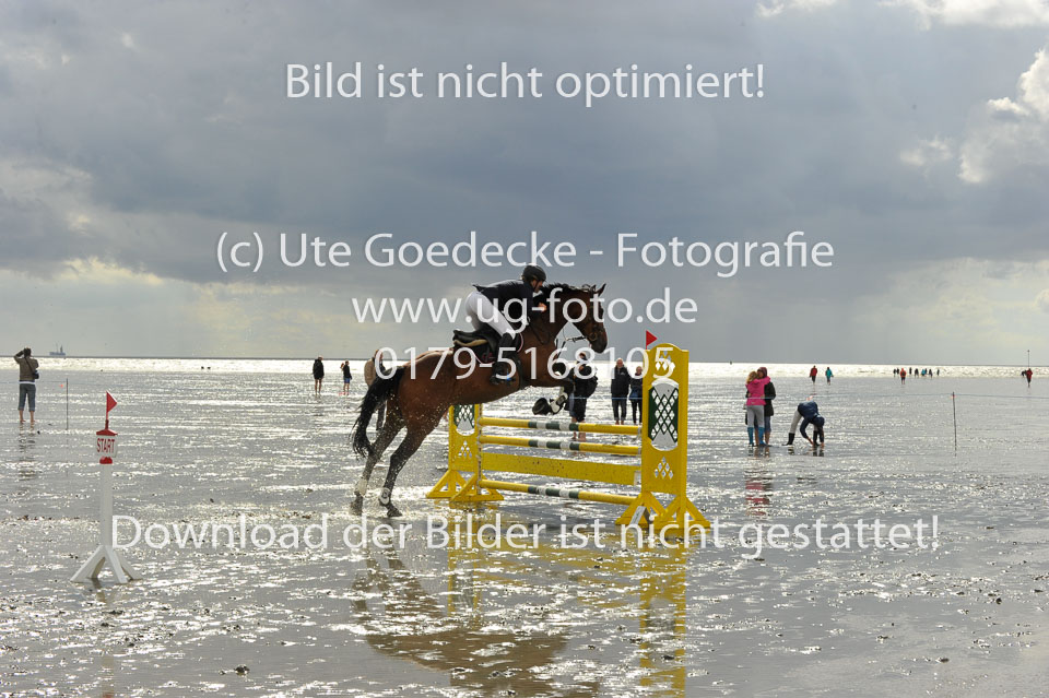 19.8.2017---A-Springen-447.jpg