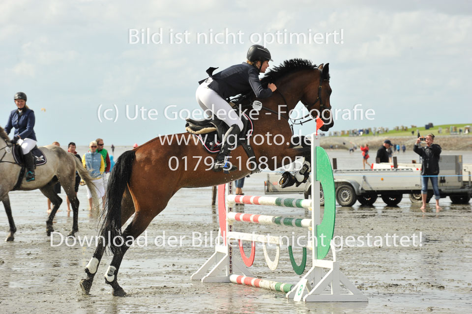 19.8.2017---A-Springen-454.jpg