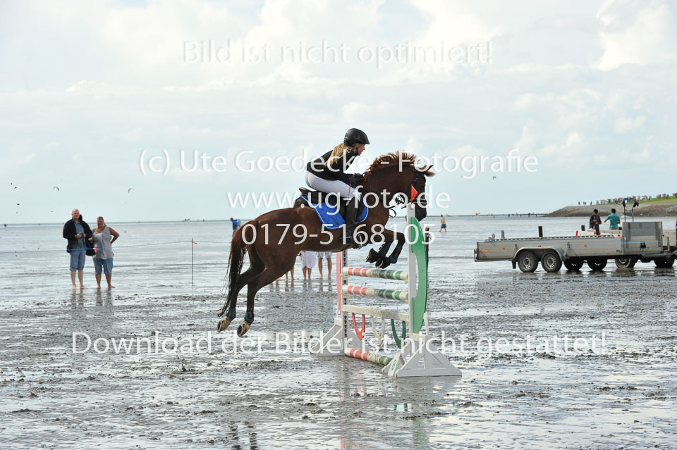 19.8.2017---A-Springen-494.jpg