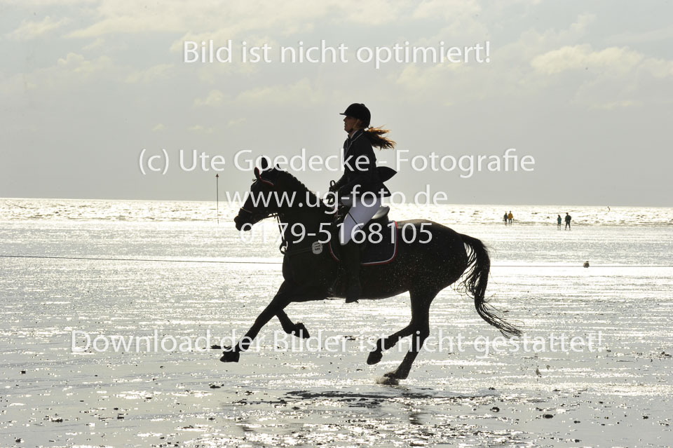 19.8.2017---L-Springen-108.jpg