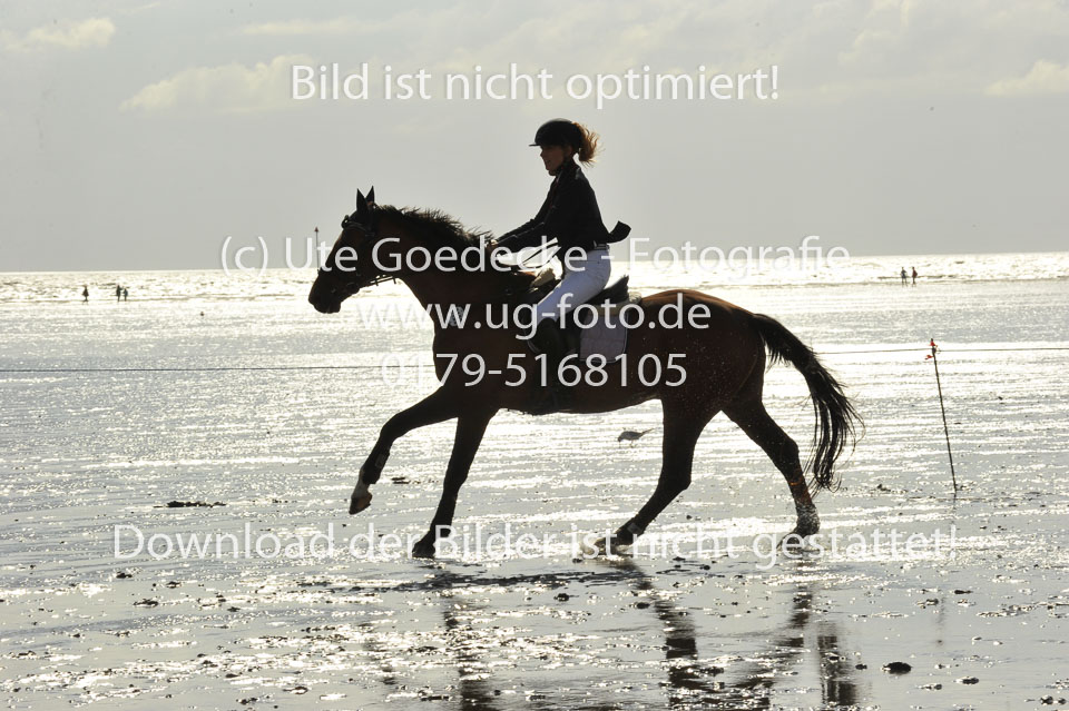 19.8.2017---L-Springen-116.jpg