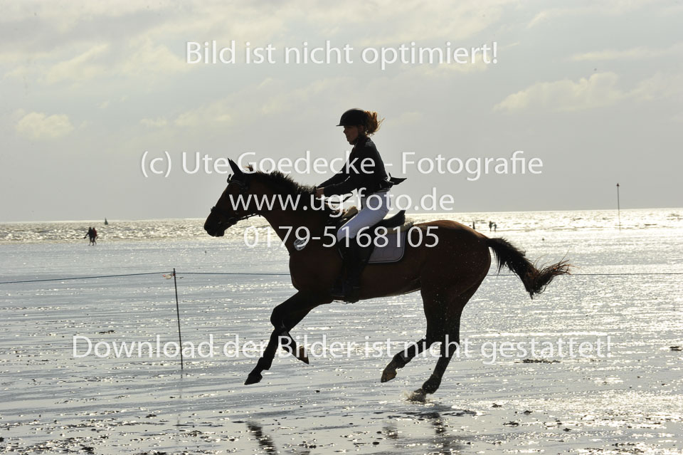 19.8.2017---L-Springen-117.jpg