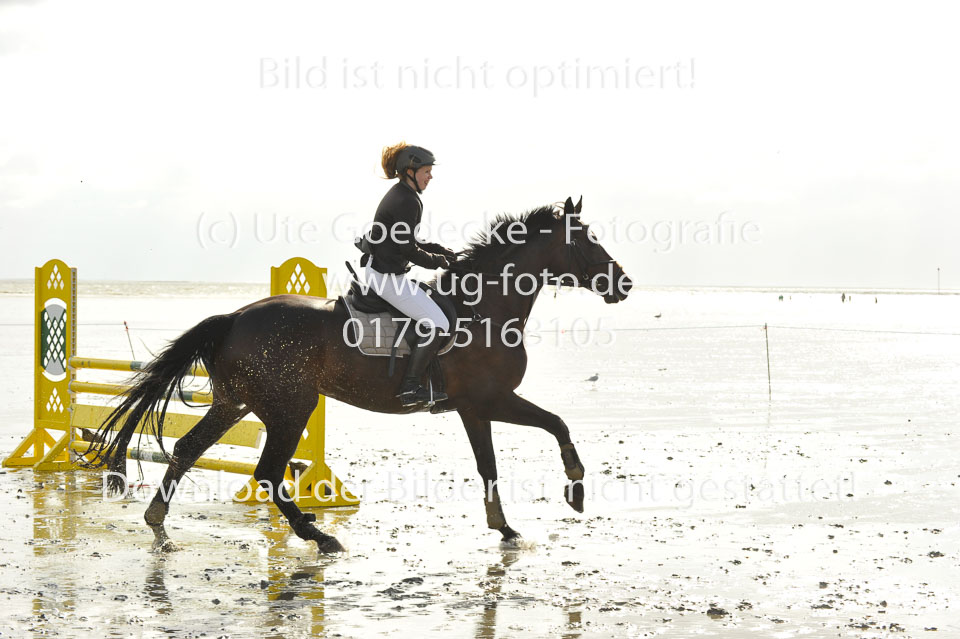 19.8.2017---L-Springen-163.jpg