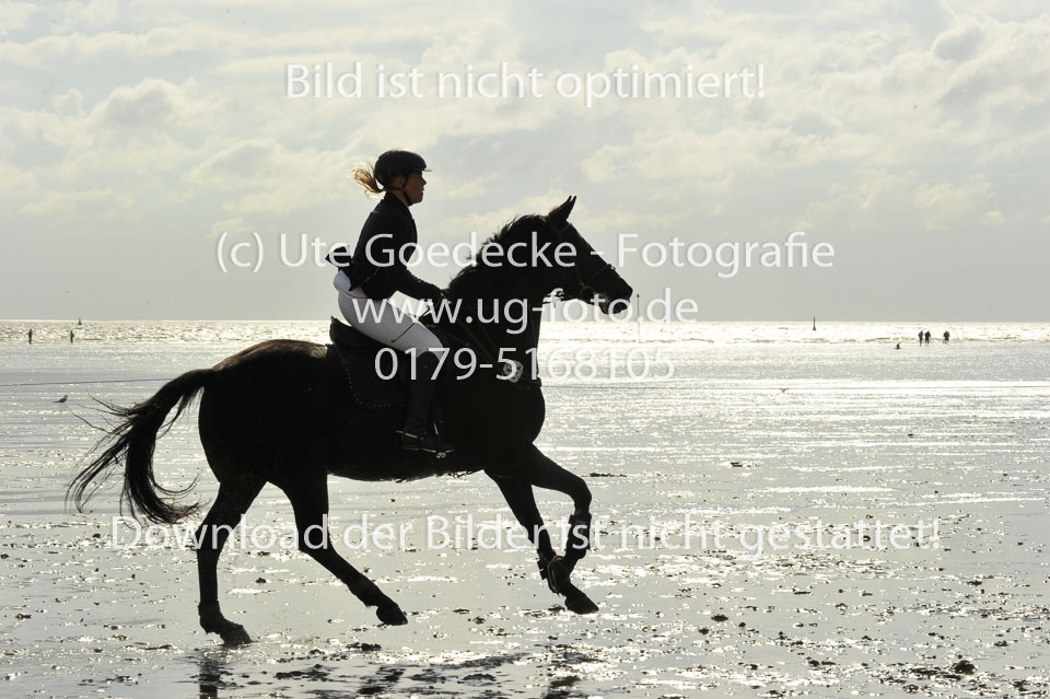 19.8.2017---L-Springen-80.jpg