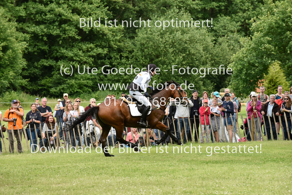 _UG07130.jpg