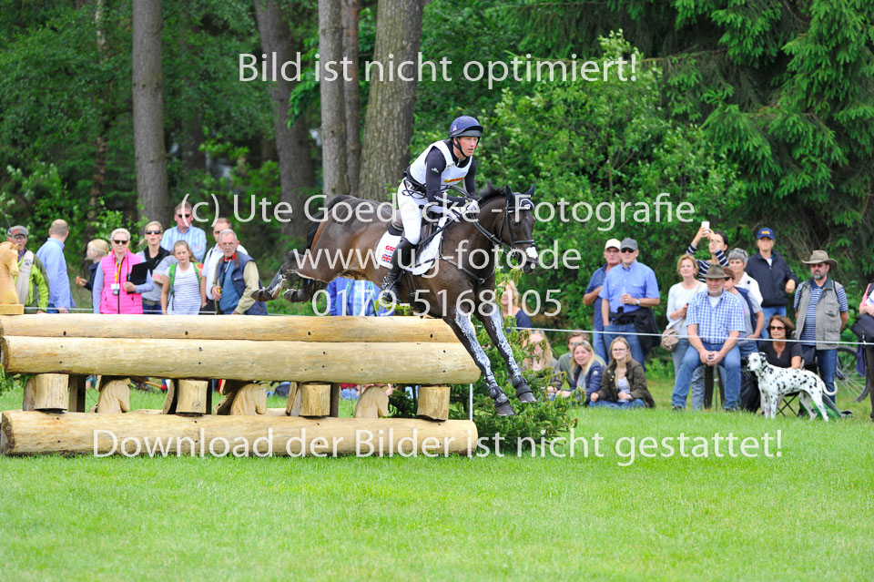 _UG08966.jpg