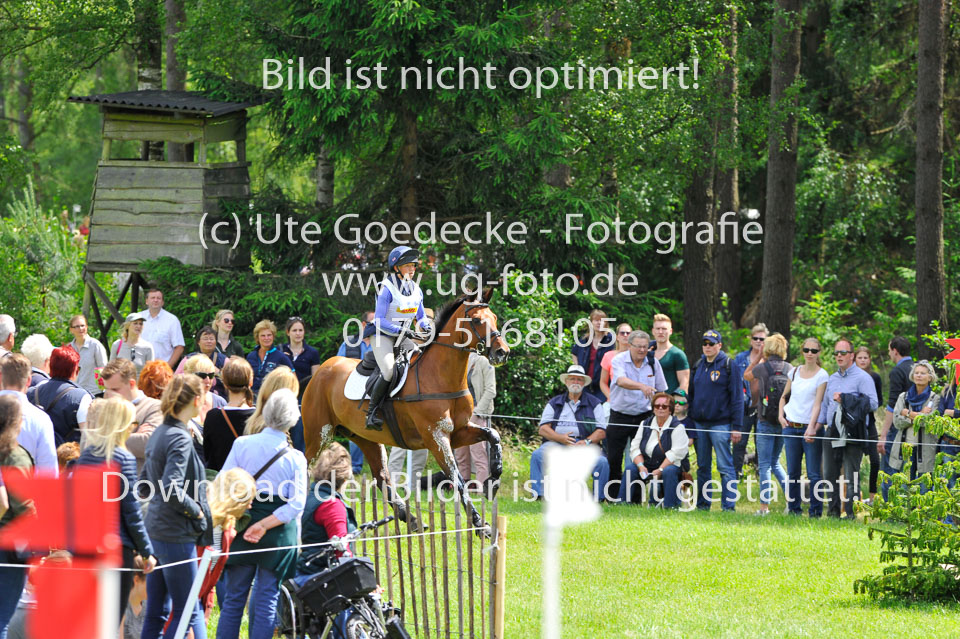 _UG08972.jpg