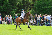 12 CCI **** Luhmühlen 12 CCI **** Luhmühlen