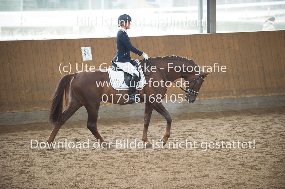 Breidenbach,-Vera---Vapiona-6_15.jpg