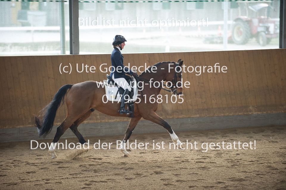 Mestern,-Julia---Sankt-Pauli-2_10.jpg