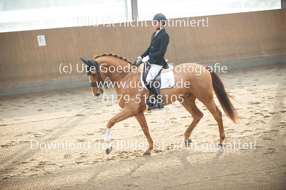 Seefeld,-Lars---Dolanesco-_04.jpg