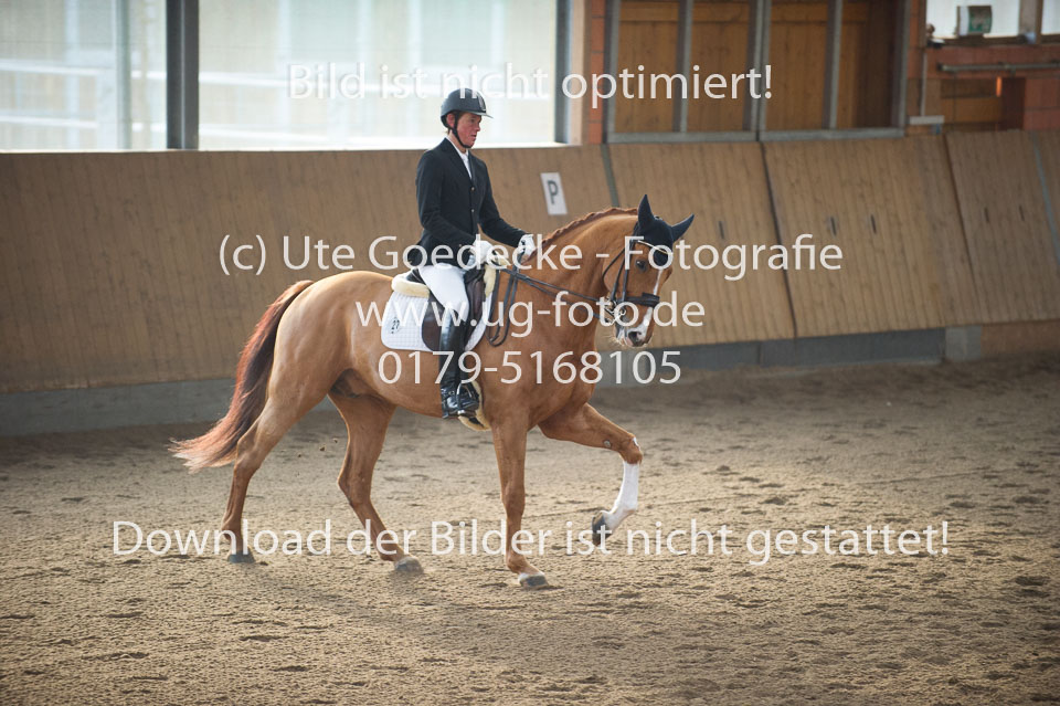 Seefeld,-Lars---Dolanesco-_09.jpg