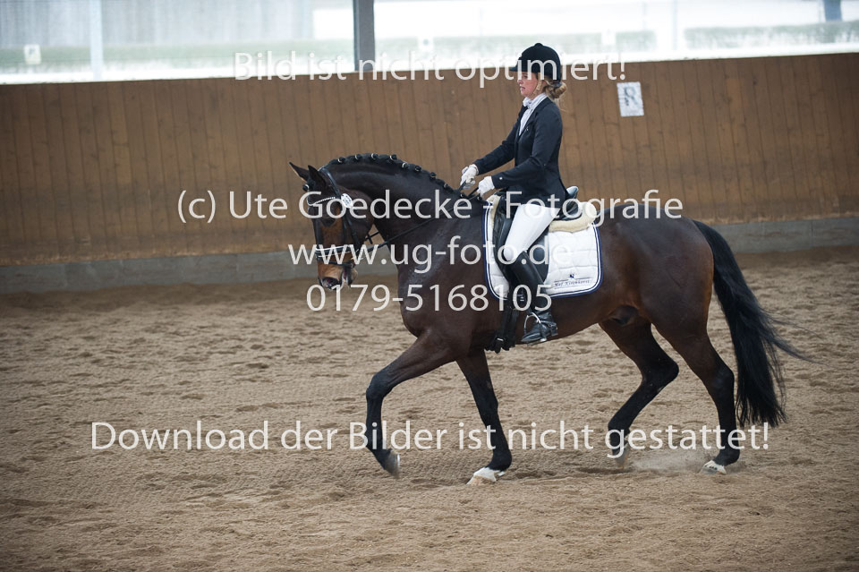 UG0_8817.jpg