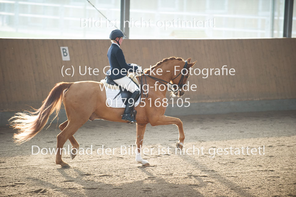 UG0_8936.jpg