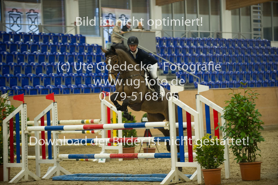 Bengtsson,-Evi---Cristrose_1.jpg