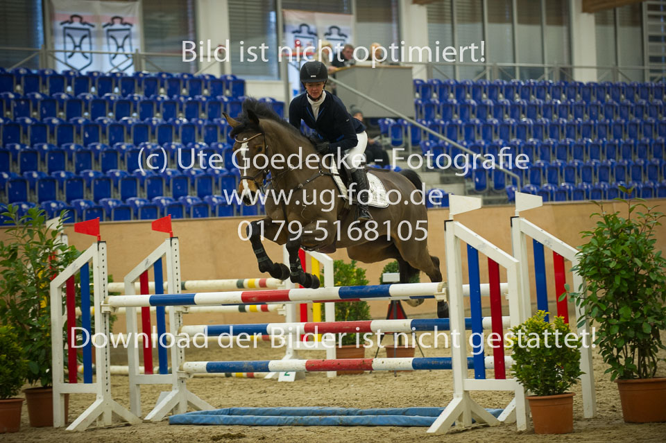 Bengtsson,-Evi---Cristrose_2.jpg