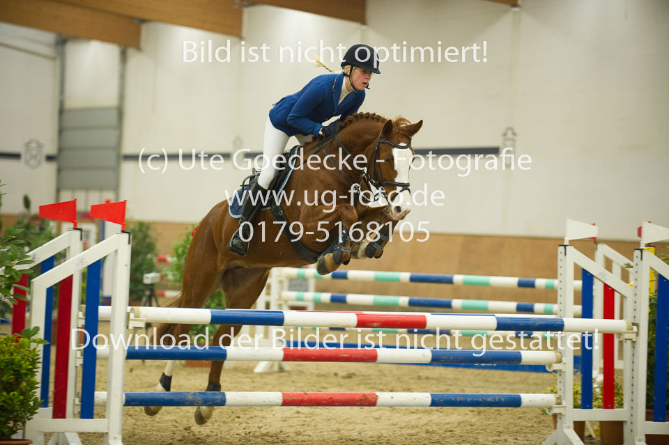 Lüthje,-Geraldine---Steuberhofs---Golde-Show_4.jpg