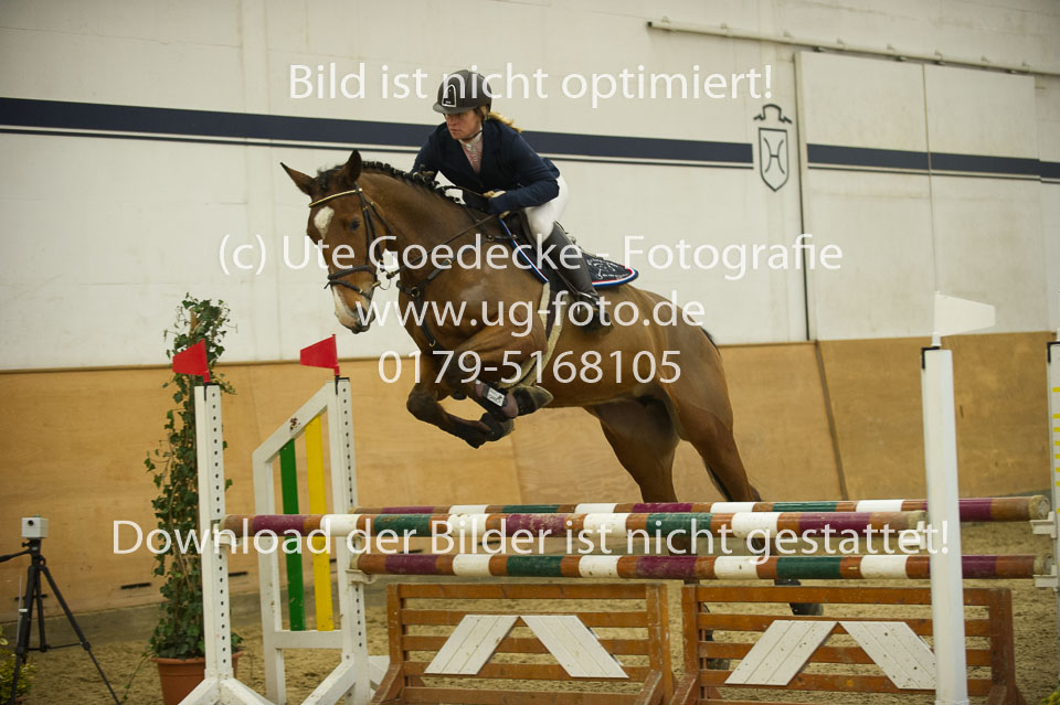Rogge,-Bettina---Qutie_4.jpg
