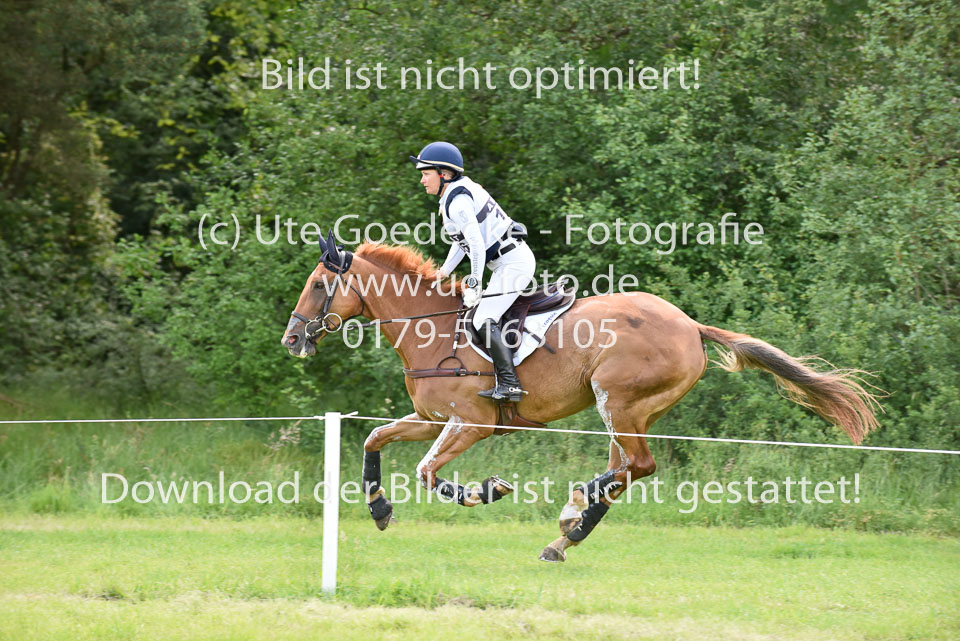 _UG05794.jpg