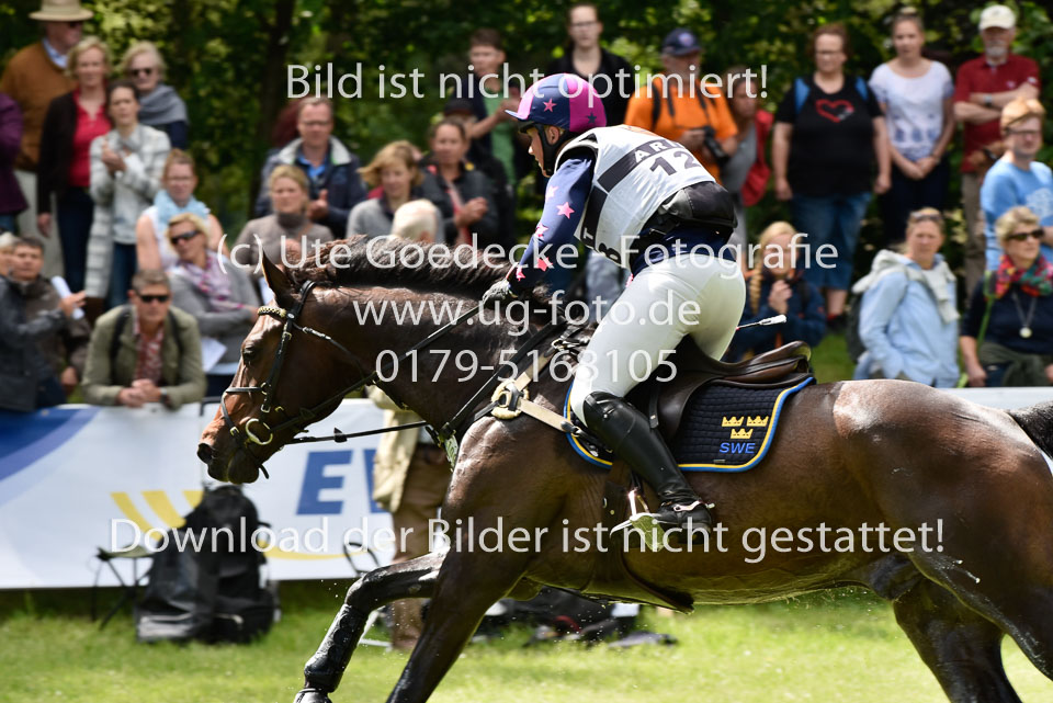_UG06467.jpg