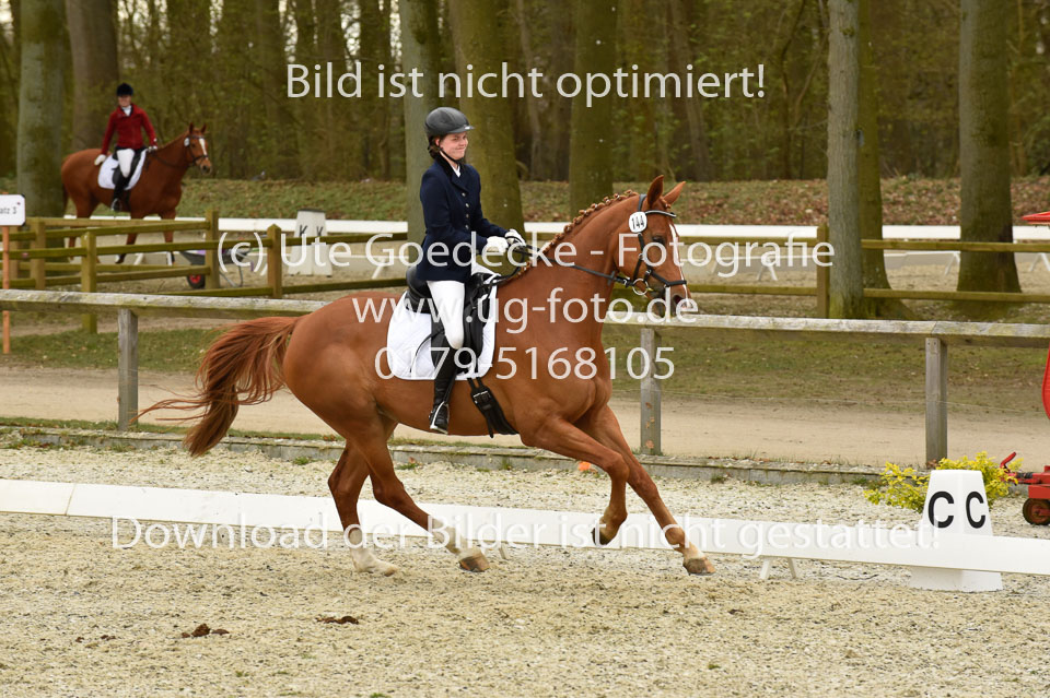 Vogt,-Jacqueline---Florali_05.jpg