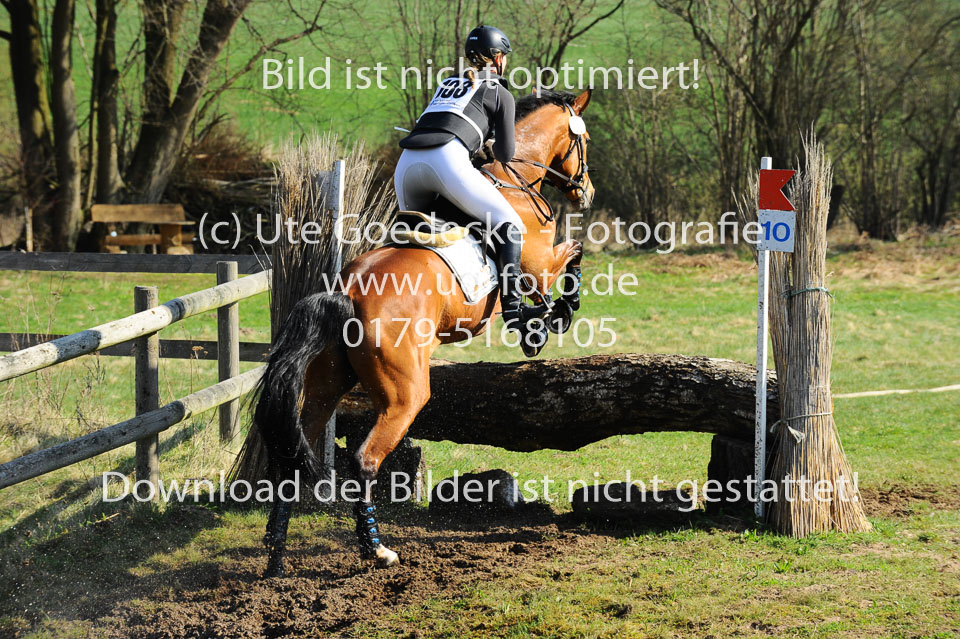 Denker,-Merle---Mabella-D_8.jpg