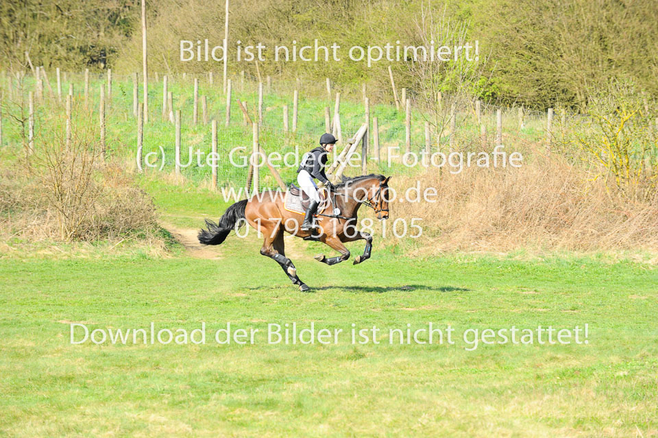 UG0_2355.jpg