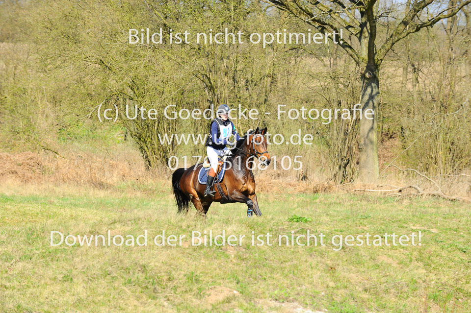 UG0_2453.jpg