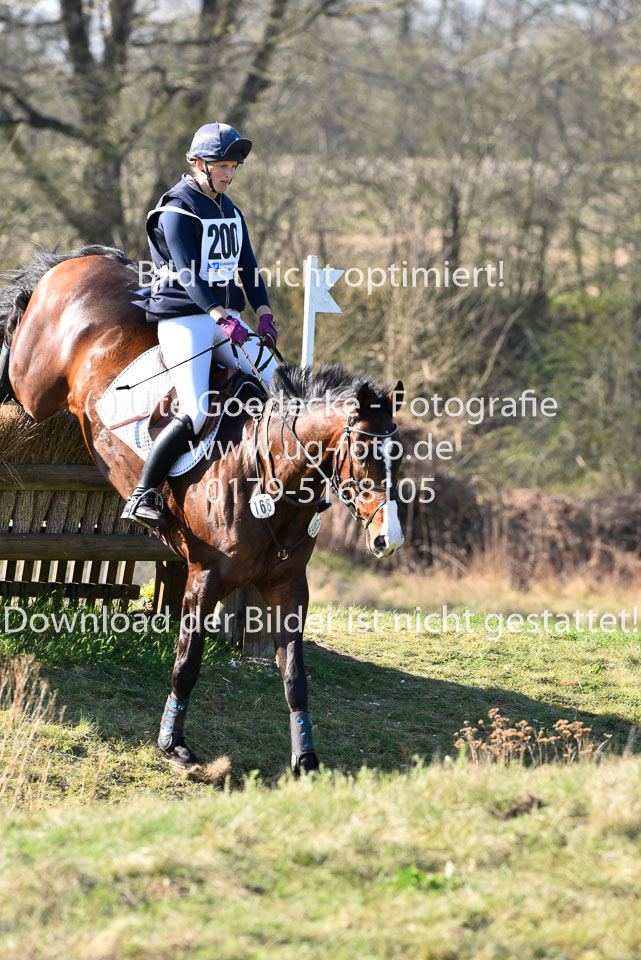Feld,-Dorothea---Ice-Age_09.jpg