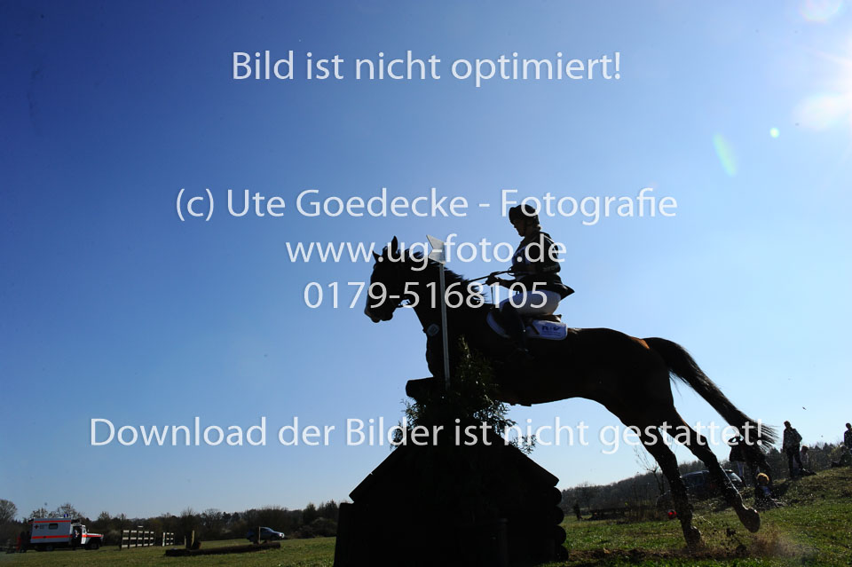 Feld,-Dorothea---Ice-Age_21.jpg