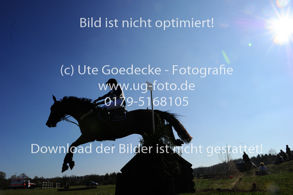 Folkmar-Jacobsen,-Anna-Thea---Firefly_03.jpg