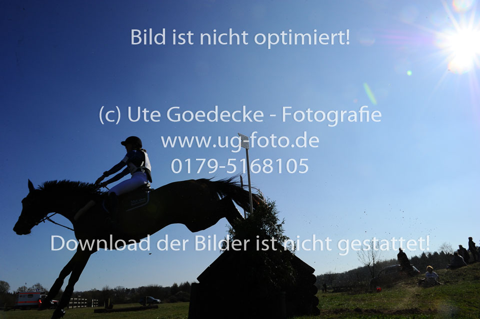 Folkmar-Jacobsen,-Anna-Thea---Firefly_04.jpg