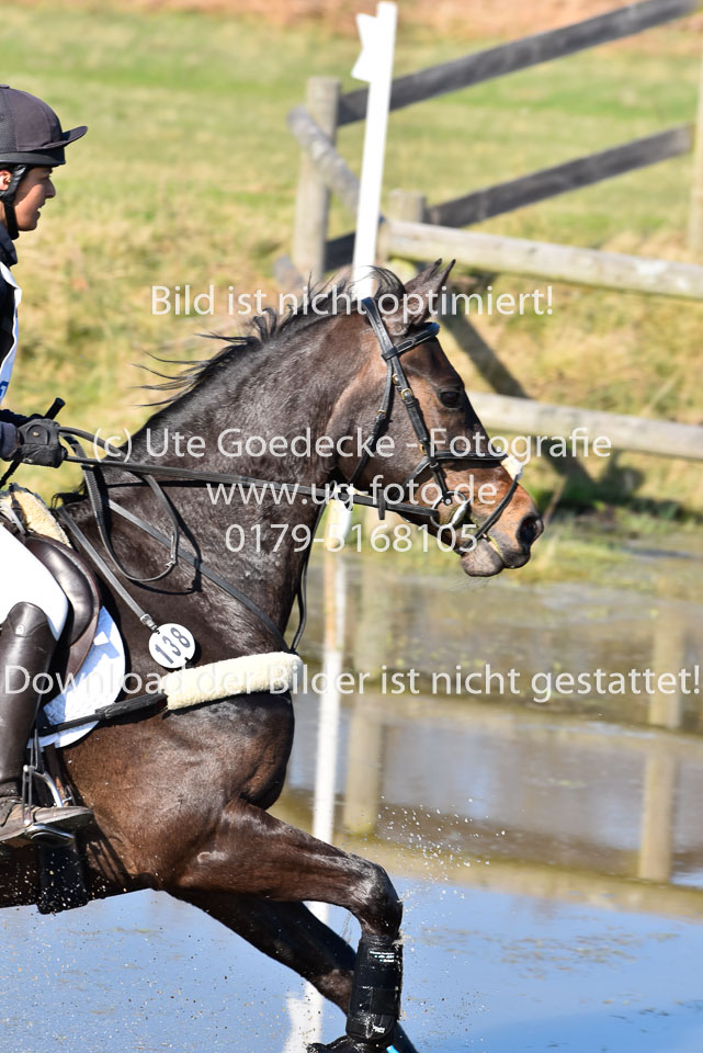Frenkel,-Nina---FBW-Abrisca_17.jpg