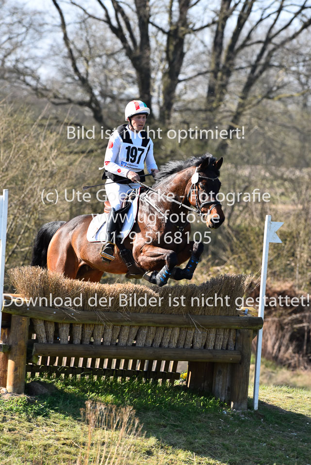 Toth,-Imre---Zypresse_09.jpg