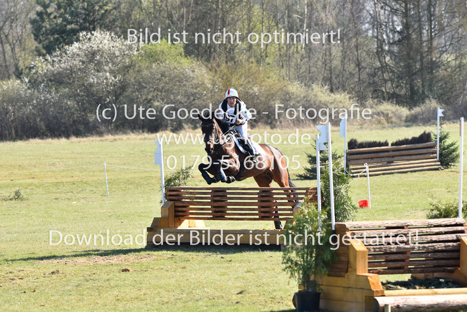 Toth,-Imre---Zypresse_14.jpg