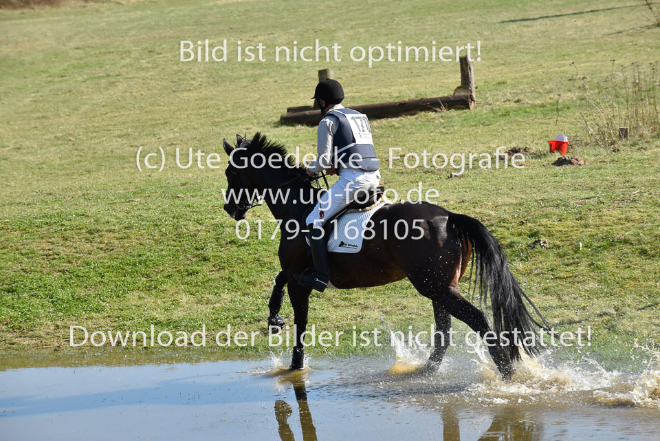 denker,-Christian--Feldgoldhermione_22.jpg