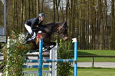 Springen
