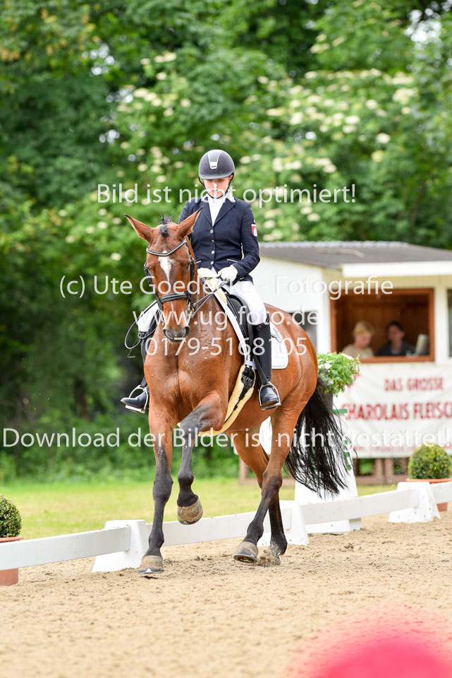 Allmeling,-Joanna---Dawn-of-Rise_12.jpg