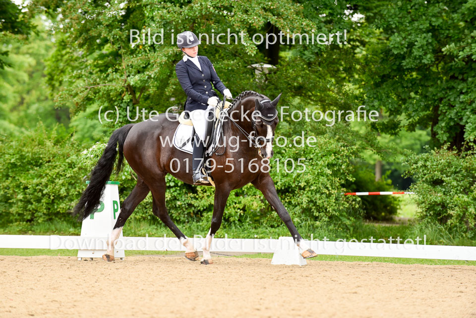 Allmeling,-Johanna---Royal-Flower-_1.jpg