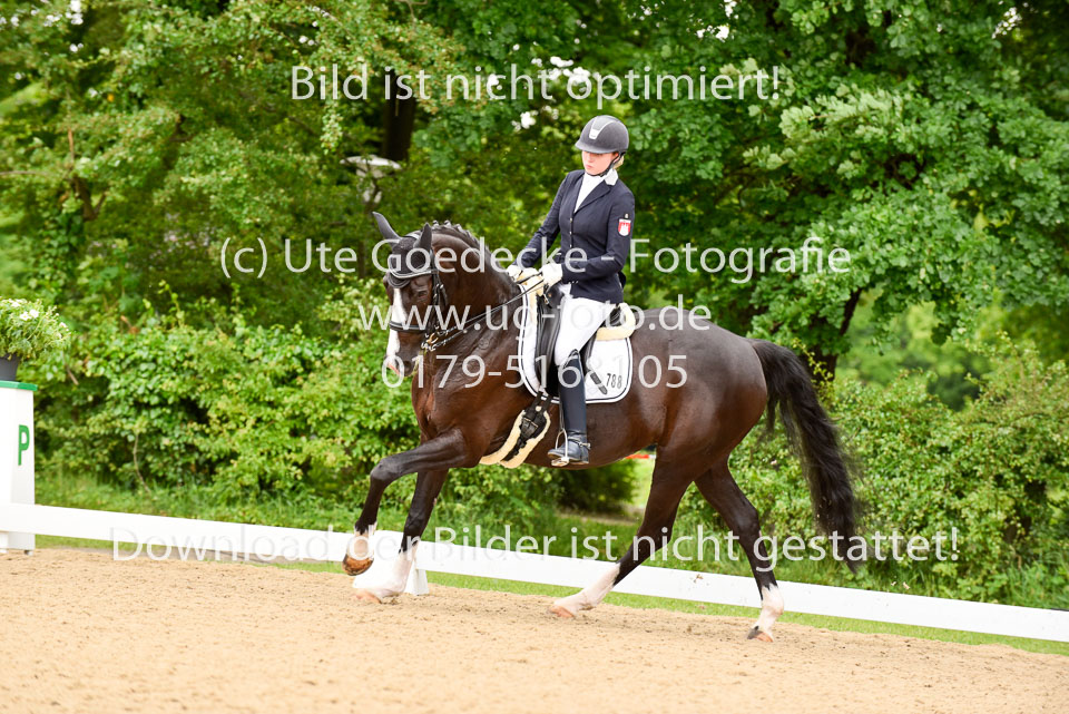 Allmeling,-Johanna---Royal-Flower-_4.jpg