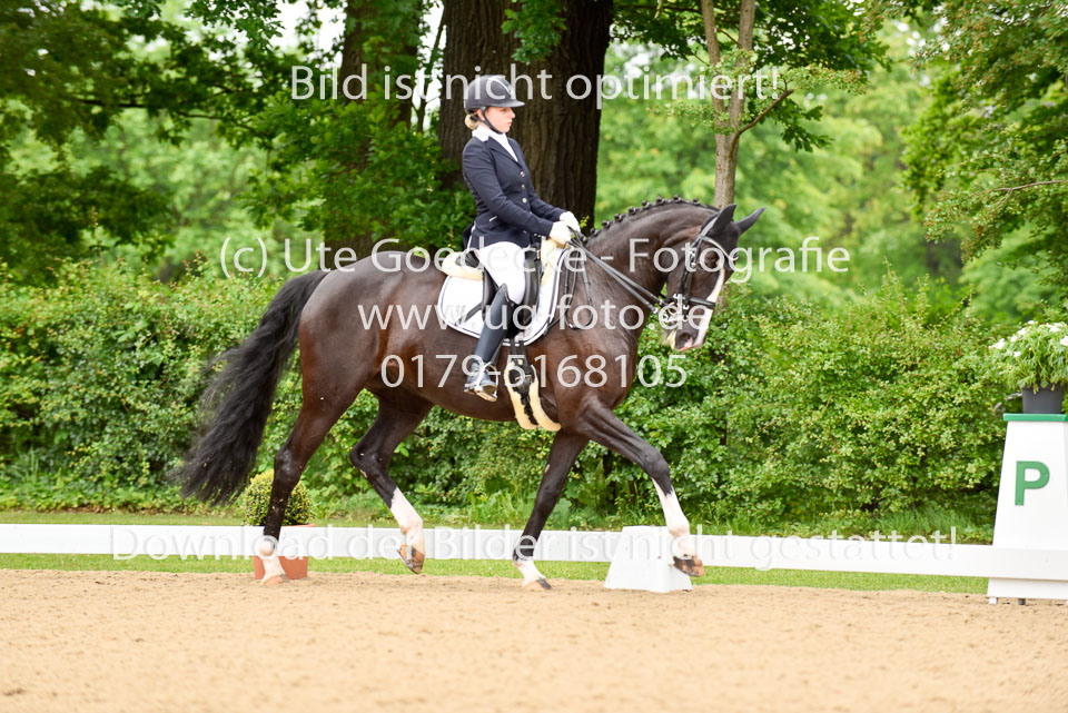 Allmeling,-Johanna---Royal-Flower-_5.jpg