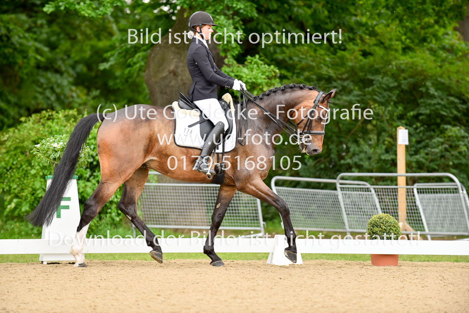 Hellmann,-Luisa---Cascallino-N_05.jpg