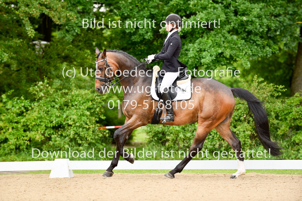 Hellmann,-Luisa---Cascallino-N_06.jpg