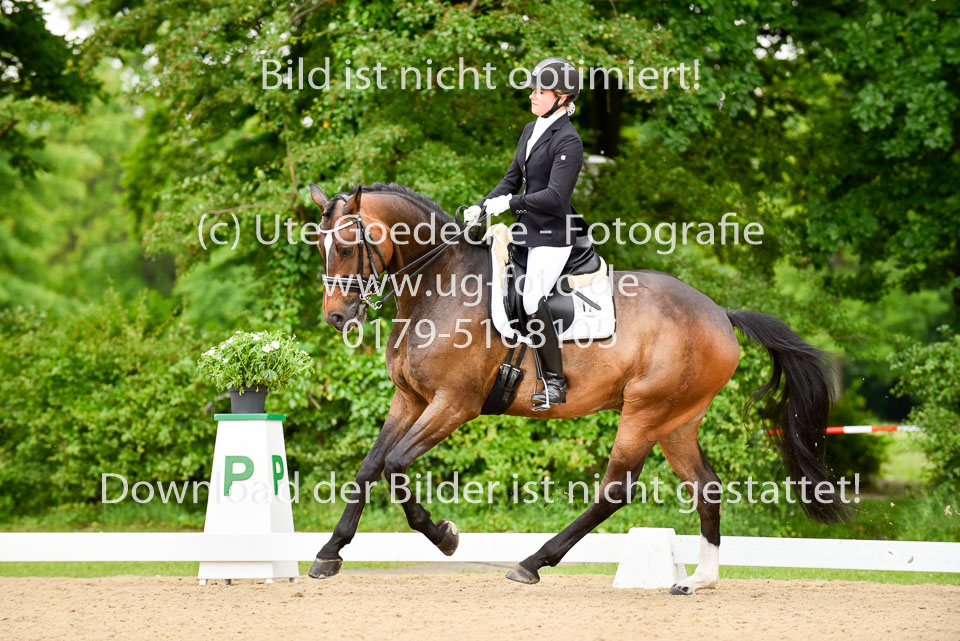 Hellmann,-Luisa---Cascallino-N_07.jpg