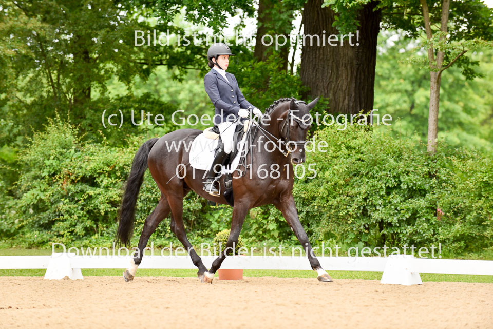 Ireland,-Serena---Franklyn-11_1.jpg