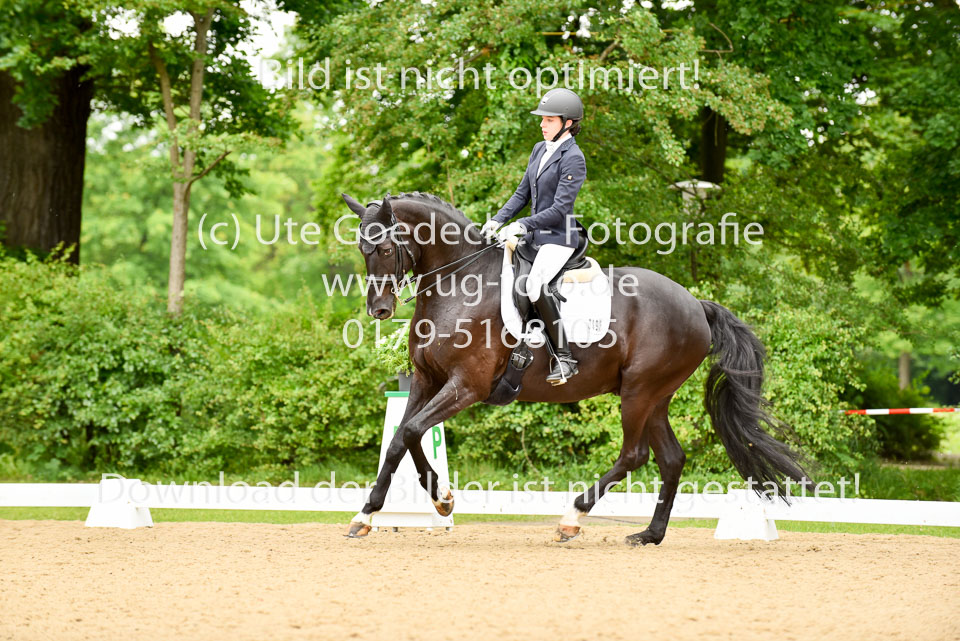 Ireland,-Serena---Franklyn-11_2.jpg
