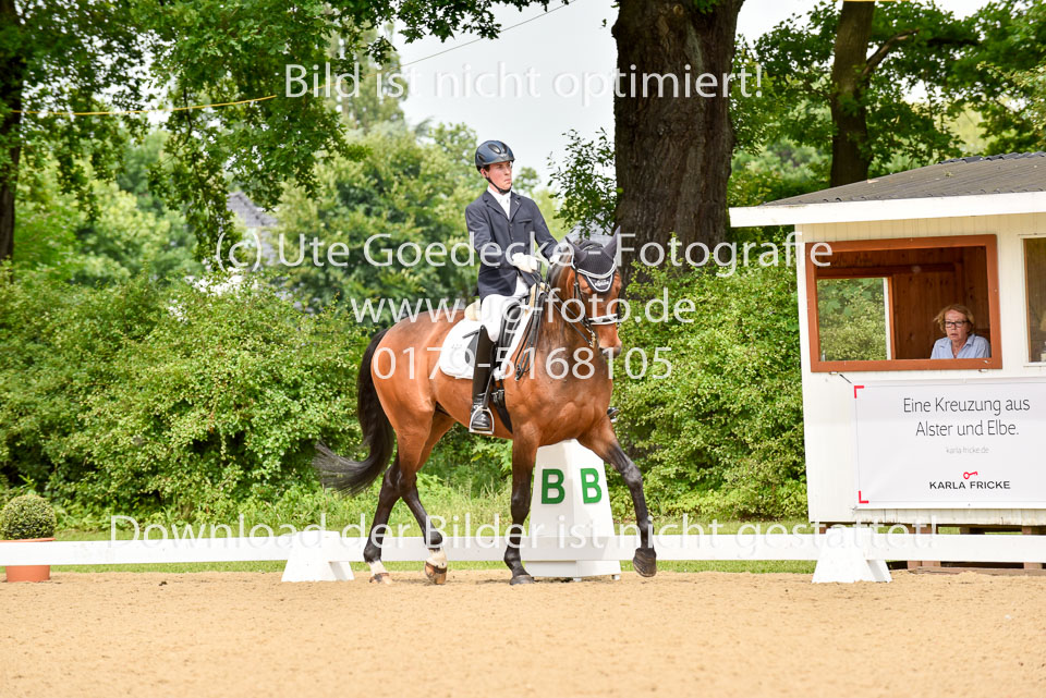Steindl,-Lennart---DMJ-Lagoni_3.jpg
