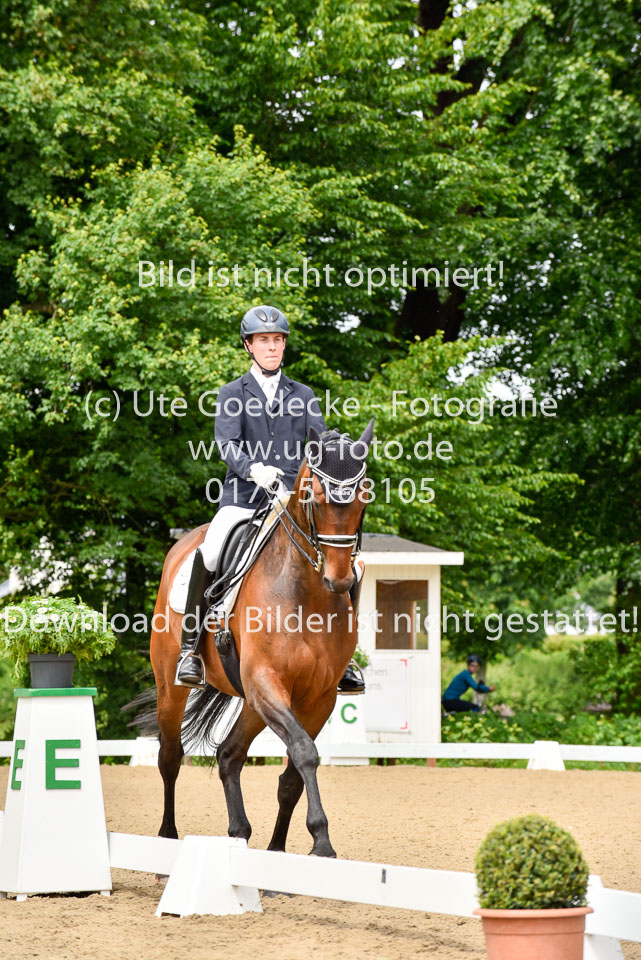 Steindl,-Lennart---DMJ-Lagoni_8.jpg