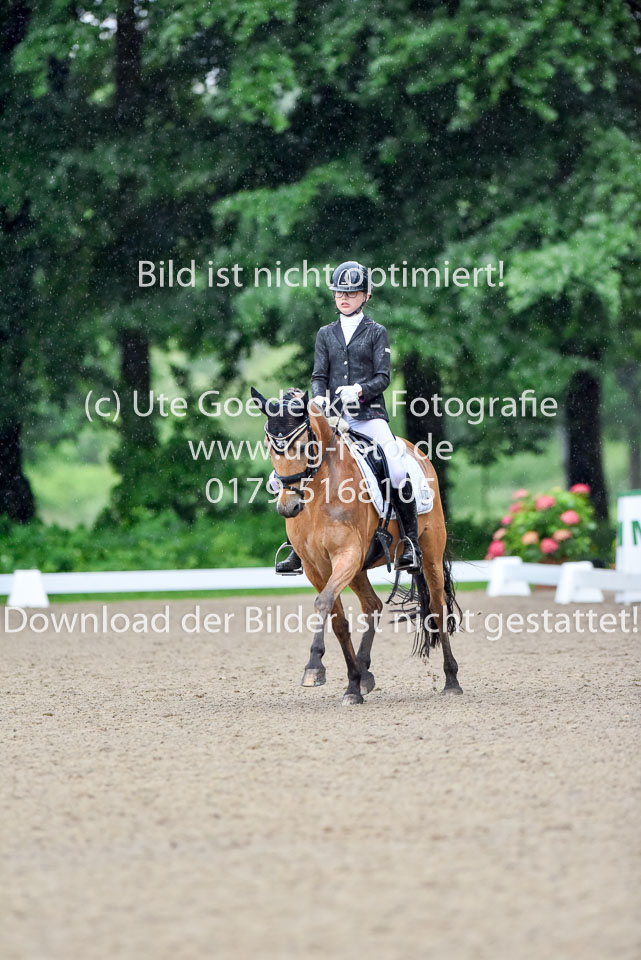 Holtfreter,-Marie---Pegasus-Forever-_04.jpg